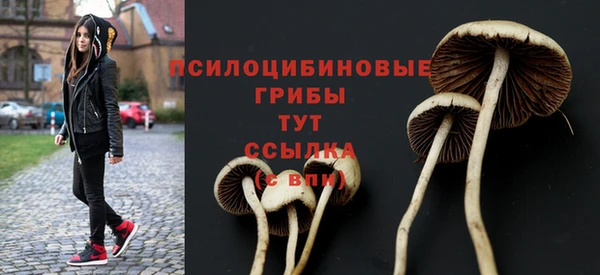 молекула духа Краснослободск