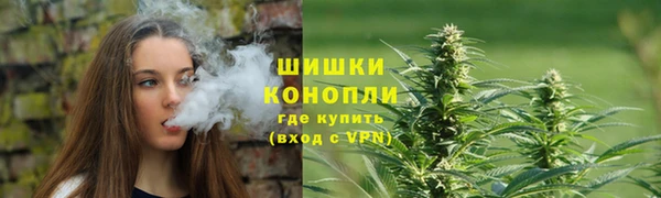 молекула духа Краснослободск