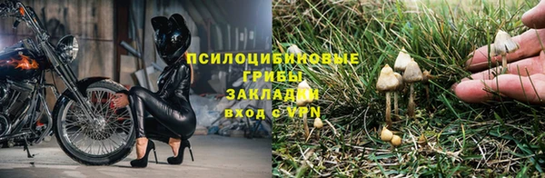 молекула духа Краснослободск