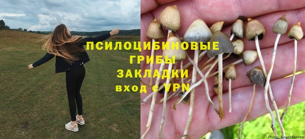стафф Красноперекопск