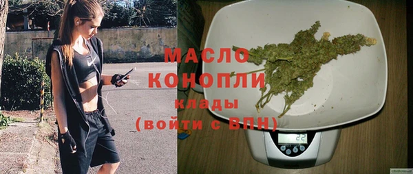 молекула духа Краснослободск