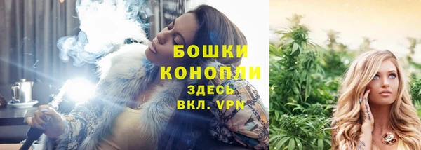 молекула духа Краснослободск
