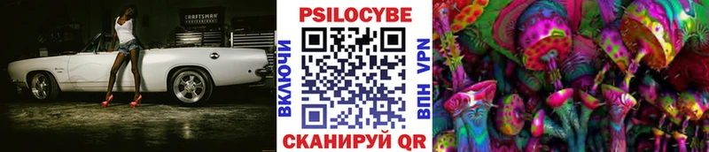 Купить  Бабушкин  Псилоцибиновые грибы MAGIC MUSHROOMS 